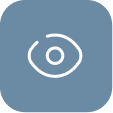 Icon Hidden Icon Hidden